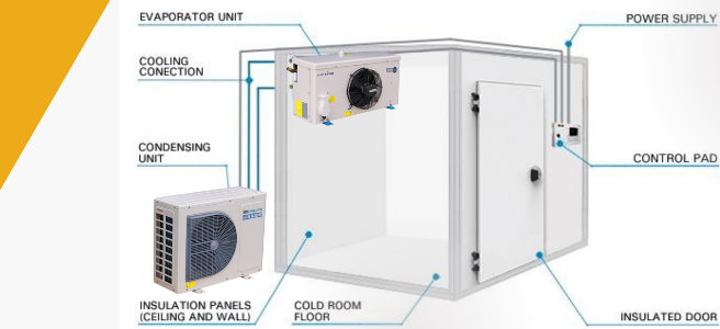 High Capacity 500lb Ice Machine Manufacturer for Reliable Ice Production