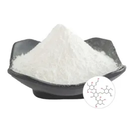 The Multifaceted Role of HEC - Based Thickeners and Formulations