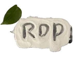 Reliable Redispersible Polymer Powder Options for Professional Builders