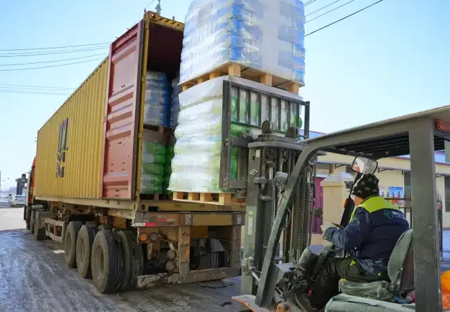 Read More About dispersible polymer powders