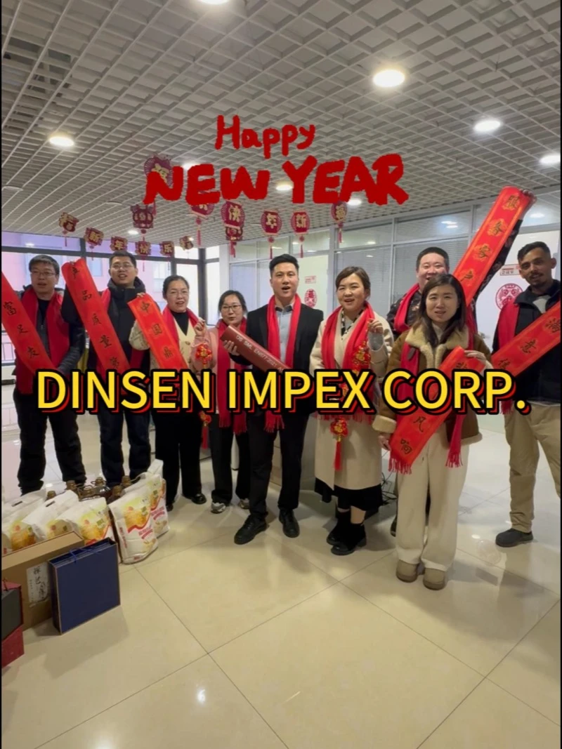 Summary of DINSEN 2025 Annual Meeting