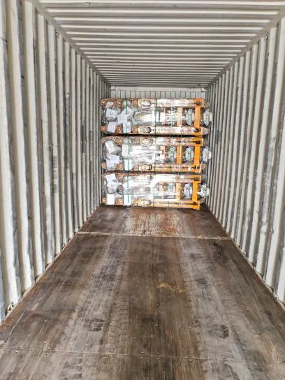 JULI Hoisting Deliveried Hand Pallet Truck to India