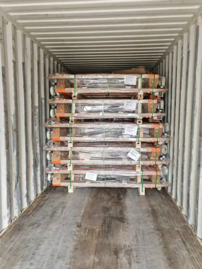 JULI Hoisting Deliveried Hand Pallet Truck to India