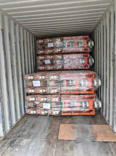 JULI Hoisting Deliveried Hand Pallet Truck to India