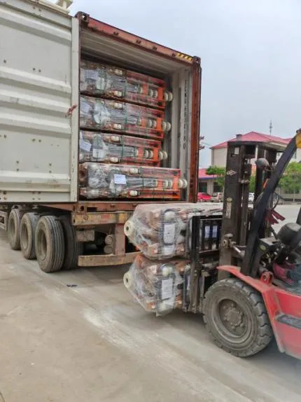 JULI Hoisting Deliveried Hand Pallet Truck to India