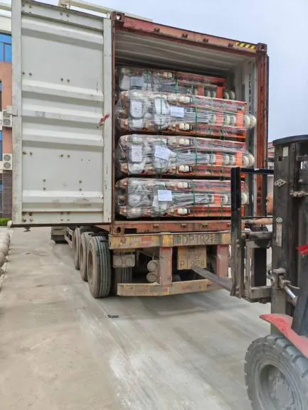 JULI Hoisting Deliveried Hand Pallet Truck to India