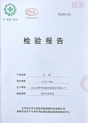 Conveyor System Bearing Housing Design and Maintenance Insights for Enhanced Performance Conveyor System Bearing Housing Design and Maintenance Insights for Enhanced Performance