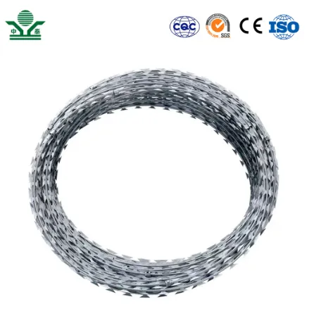 Effective Waterproofing Solutions for Drainboard Foundations to Protect Against Water Damage