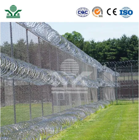 Custom Ring Barbed Wire China Suppliers 730mm Coil Diameter Ribbon Barbed Wire Used for Backyard Security Fence