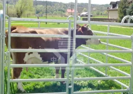 Different Variations of Welded Wire Fencing for Various Applications and Uses