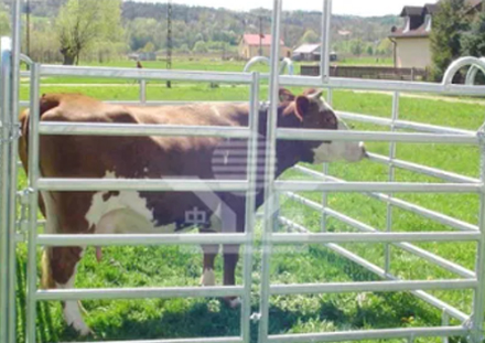 Westside Solutions for Temporary Fencing Needs in Event Management and Construction Projects