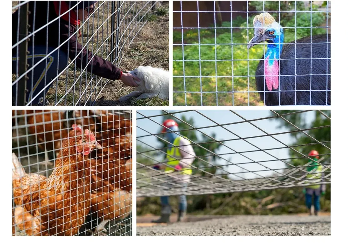 3X3 Galvanized Cattle Welded Wire Mesh Panel Stainless Steel Wire Material Brc Welded Wire Mesh