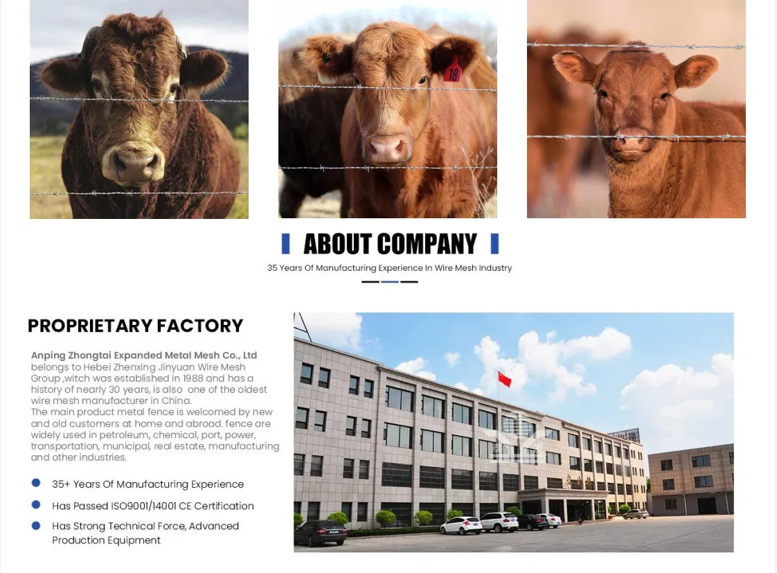 Barb Wire Fence Roll China Wholesalers 300mm 450mm 730mm Diameter PVC Coated Barbed Wire Mesh Used for Metal Security Fences