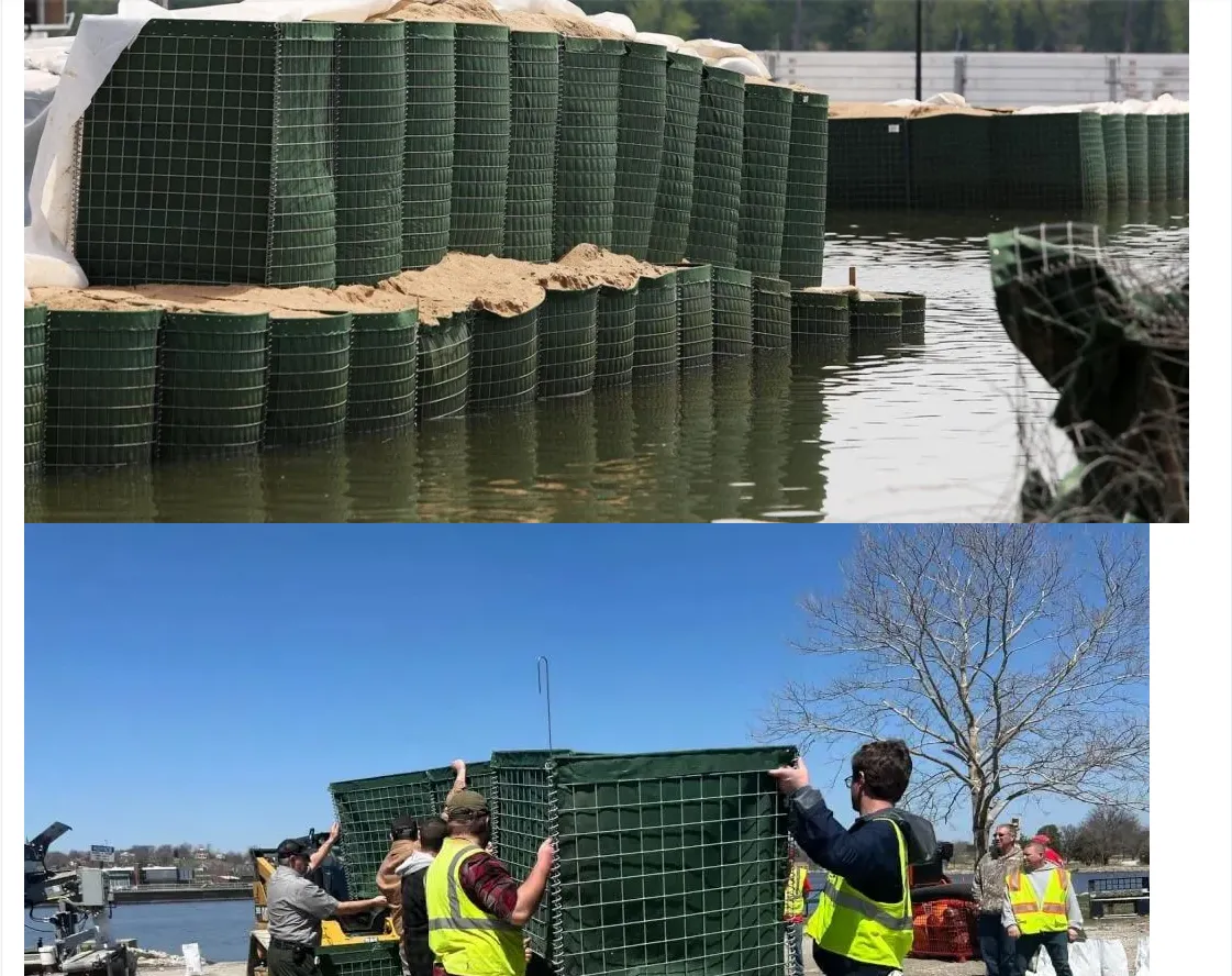 Factory Prices Cost PVC Coated Galvanized Hexagonal Gabion Basket Wall Gabion Box