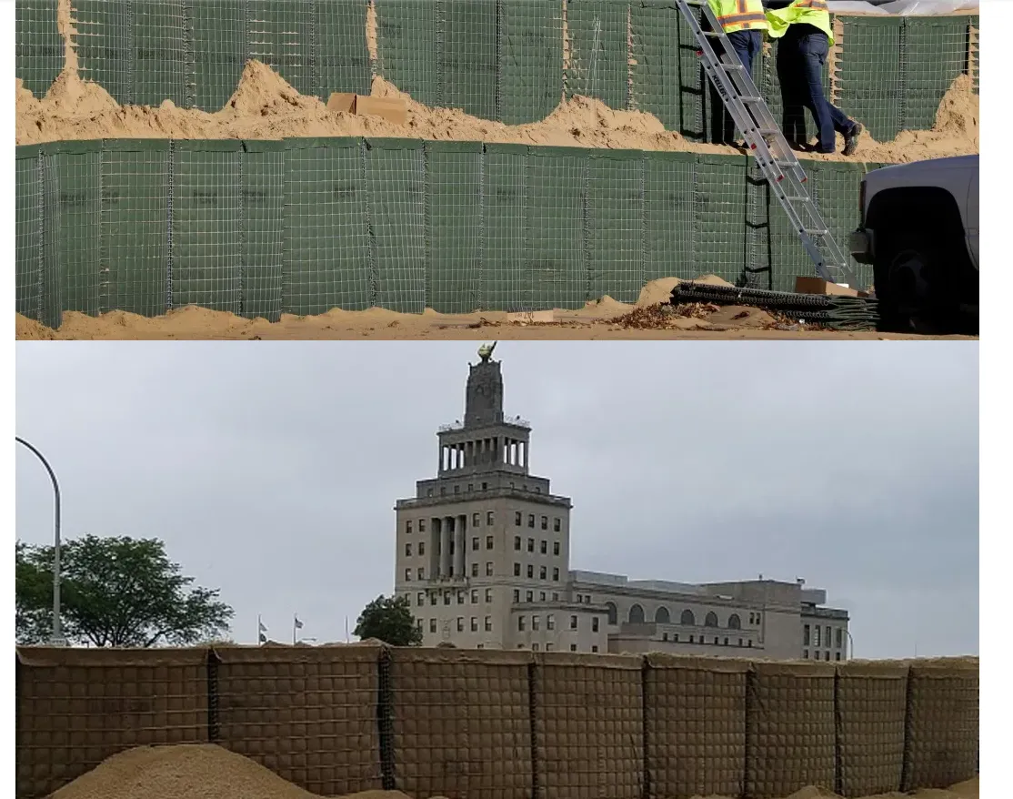 Factory Prices Cost PVC Coated Galvanized Hexagonal Gabion Basket Wall Gabion Box