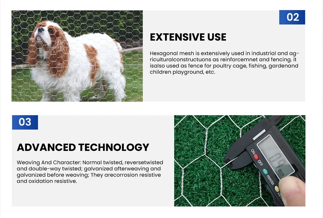 Zhongtai Hex Wire Mesh China Wholesalers 17 16 15 14 Bwg 13mm Chicken Wire Mesh