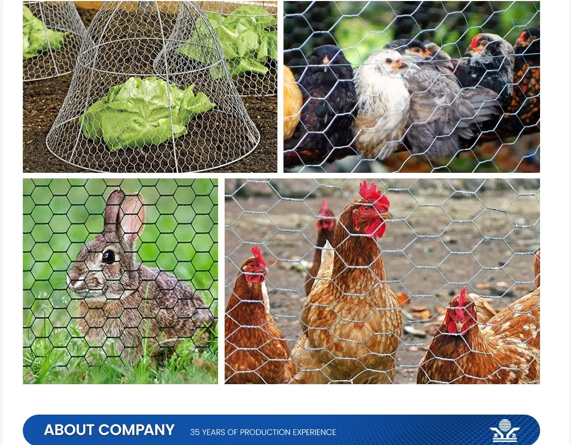 2mm Perforated Steel Sheet Applications and Benefits in Modern Design and Construction 2mm Perforated Steel Sheet Applications and Benefits in Modern Design and Construction