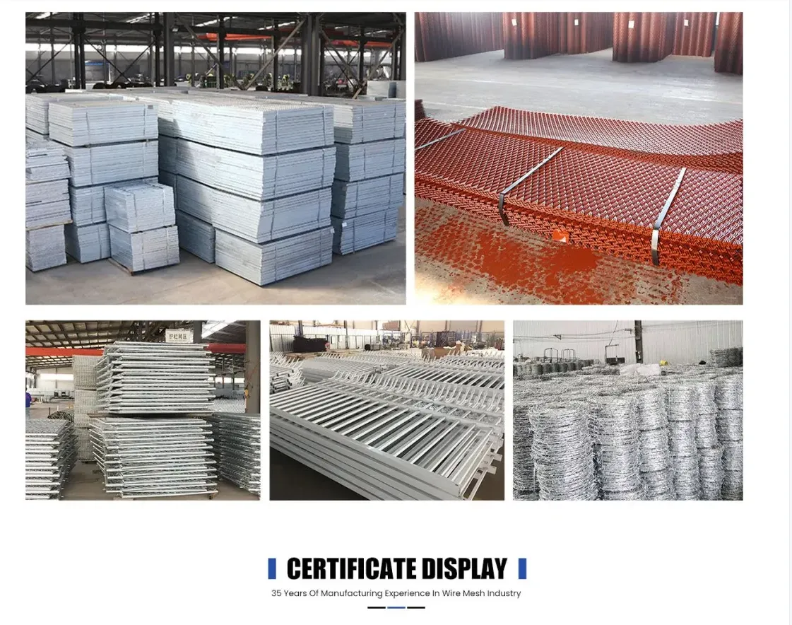 Exploring the Benefits of Vegetable Creepers for Sustainable Gardening Practices