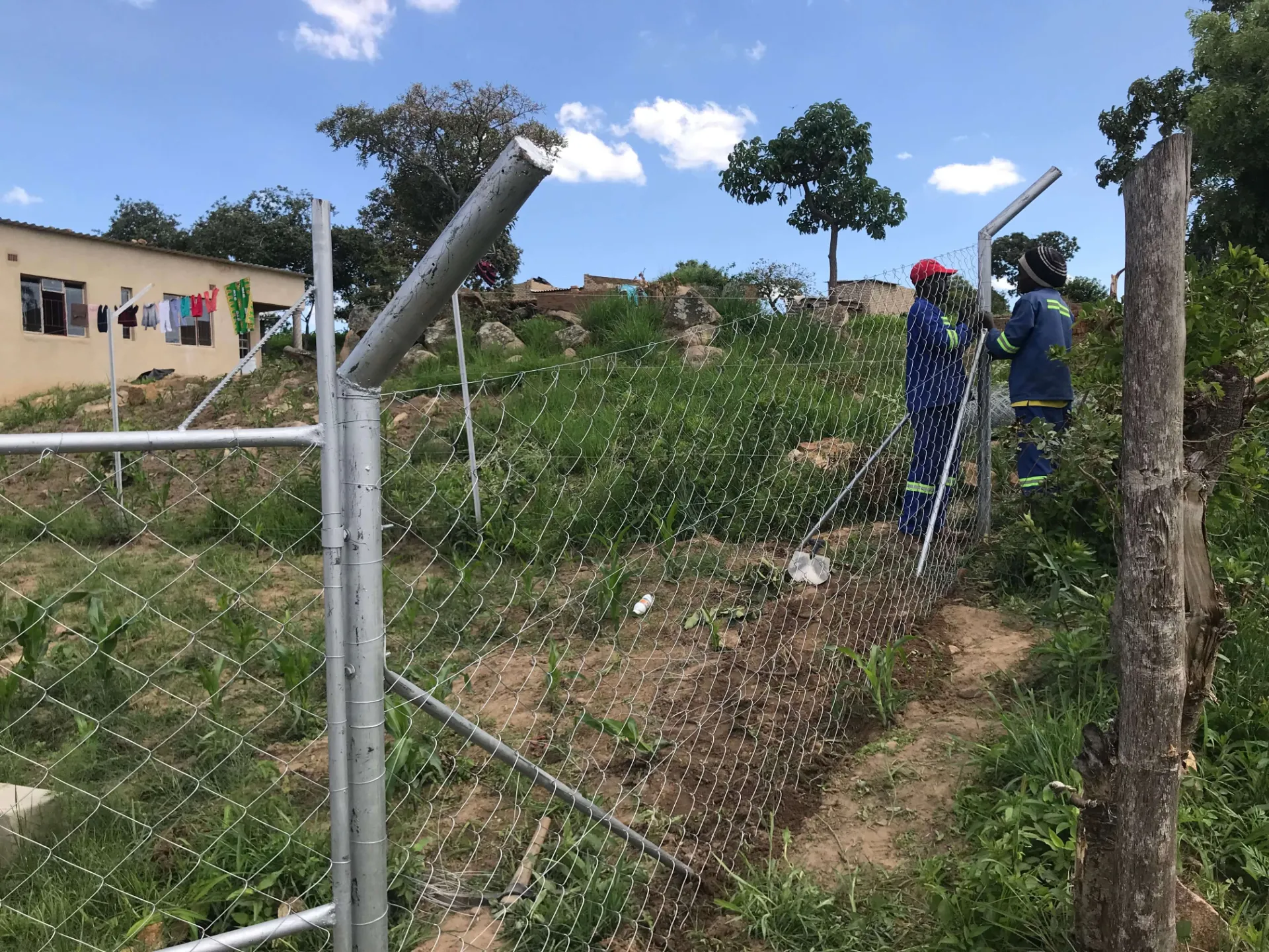 The Importance of Prison Mesh in Various Fields