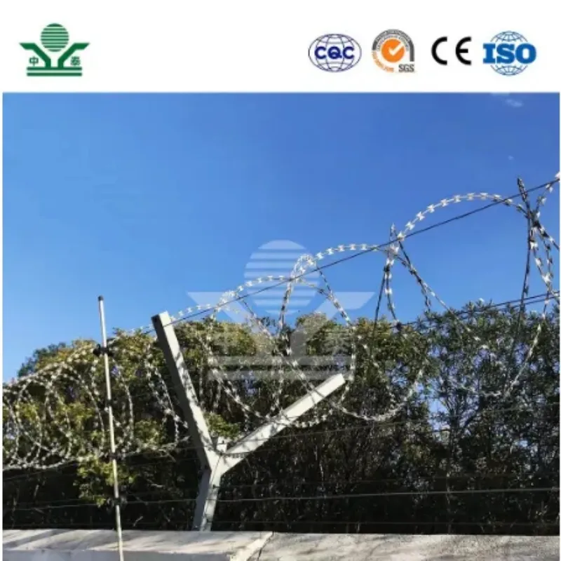 Zhongtai Durable Galvanized Cbt-65 Razor Barbed Wire Concertina Wire for Fencing