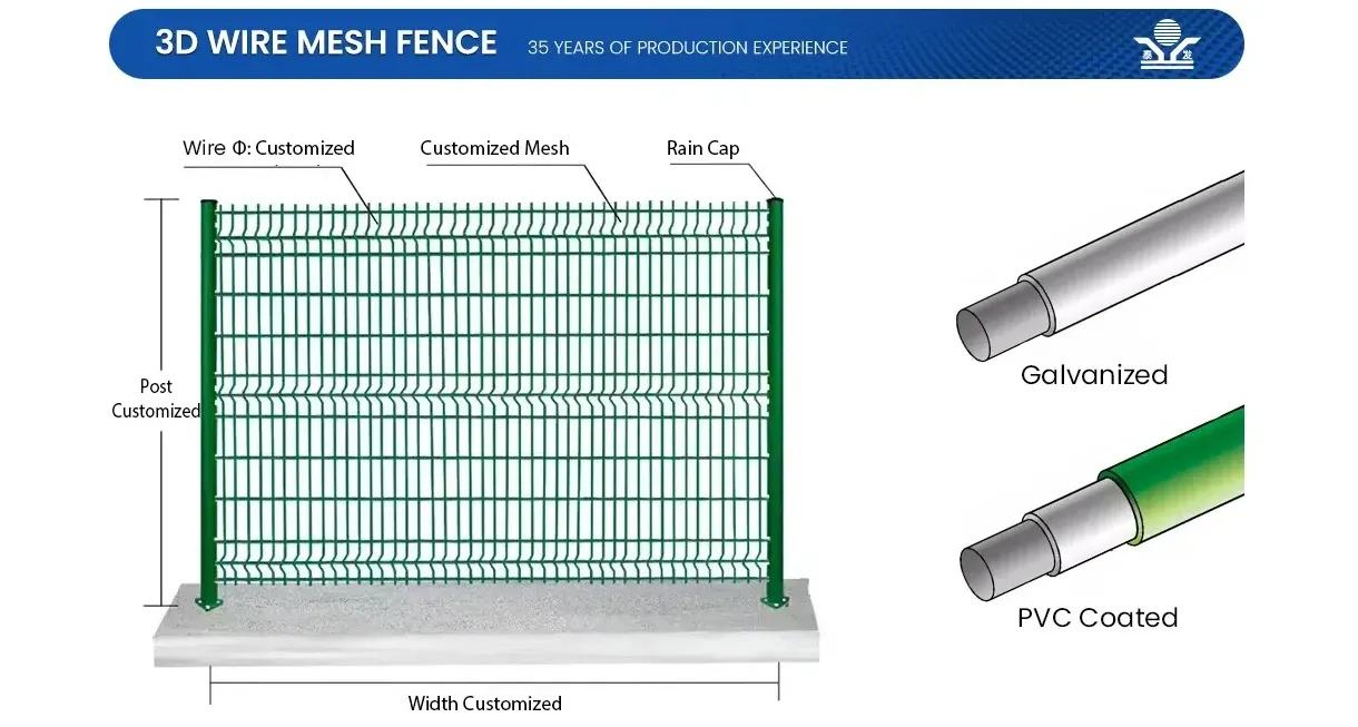 Zhongtai PVC/ Powder Coated Double Edged Steel Iron 3D Welded Wire Mesh Fence