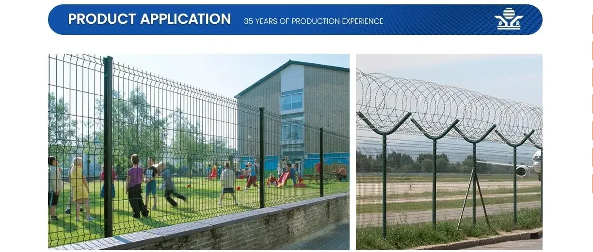 Zhongtai PVC/ Powder Coated Double Edged Steel Iron 3D Welded Wire Mesh Fence