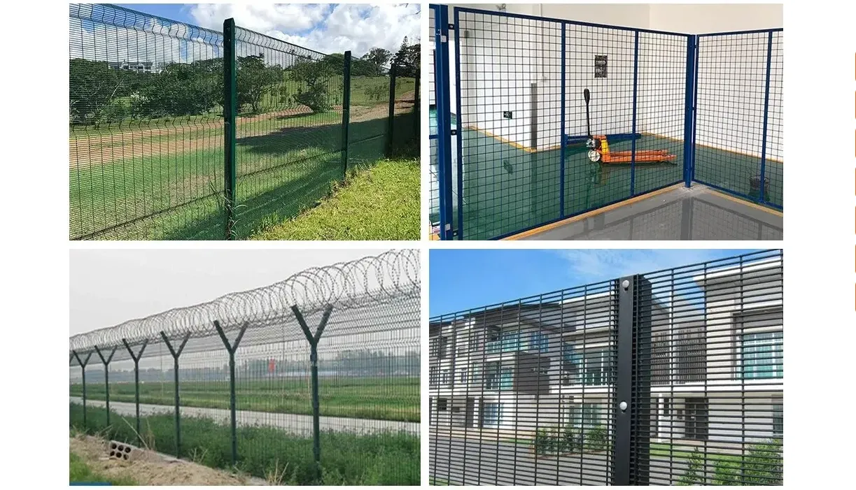Zhongtai PVC/ Powder Coated Double Edged Steel Iron 3D Welded Wire Mesh Fence
