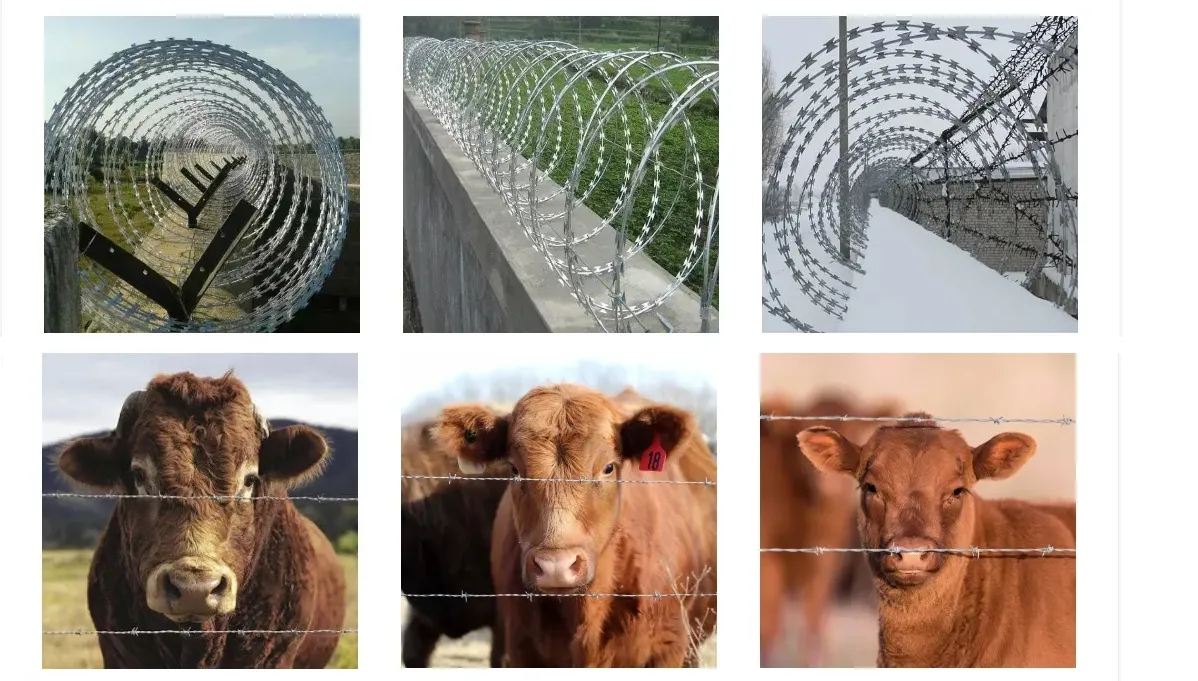 Stainless Steel Razor Barbed mesh Wire China Suppliers 5m 10m 15 - 20m Length Barbed Mesh Wire Razor Wire Used for Anti Climb Security Fencing