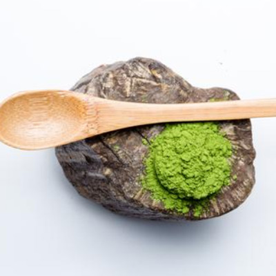 temporary mesh fencing