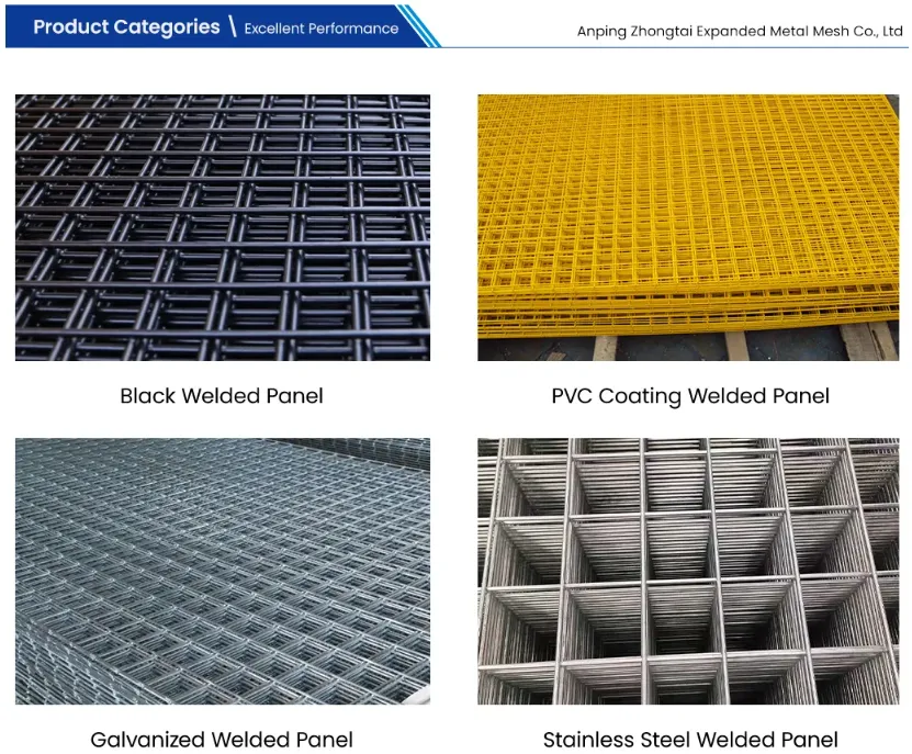 Zhongtai PVC Coated Welded Wire Mesh Rolls China Manufacturers 6.4mm Mesh Size