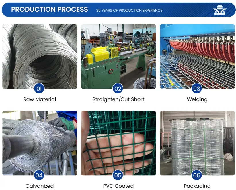 Zhongtai PVC Coated Welded Wire Mesh Rolls China Manufacturers 6.4mm Mesh Size