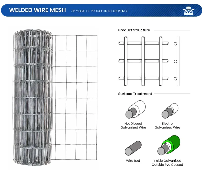 Zhongtai PVC Coated Welded Wire Mesh Rolls China Manufacturers 6.4mm Mesh Size