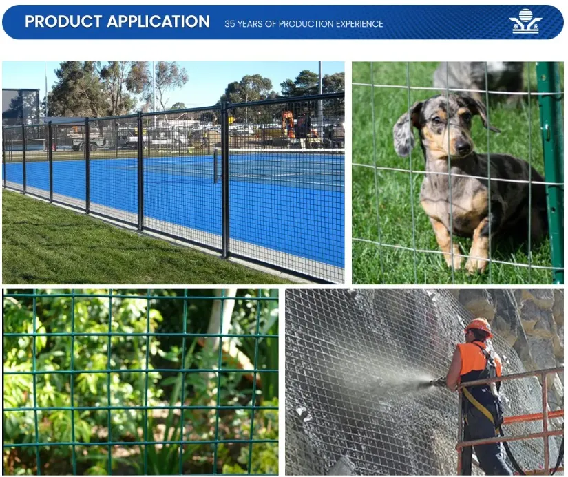 Zhongtai PVC Coated Welded Wire Mesh Rolls China Manufacturers 6.4mm Mesh Size