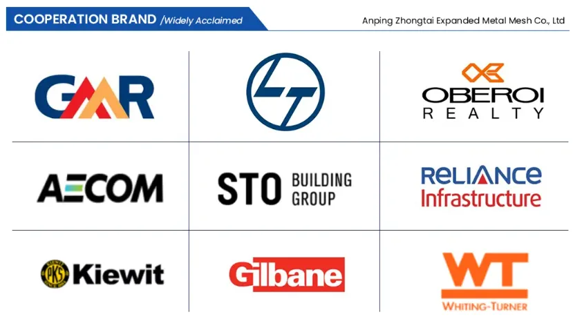 Zhongtai PVC Coated Welded Wire Mesh Rolls China Manufacturers 6.4mm Mesh Size