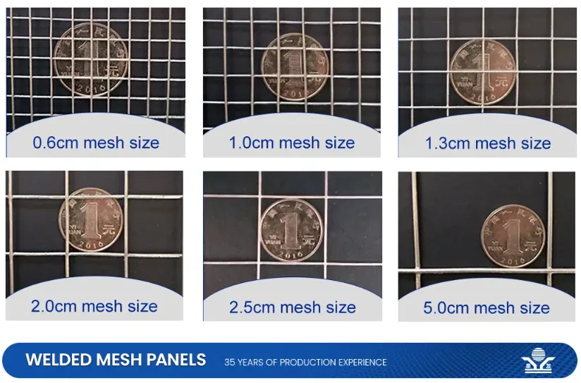 Zhongtai PVC Coated Welded Wire Mesh Rolls China Manufacturers 6.4mm Mesh Size