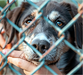 metal grating for sale