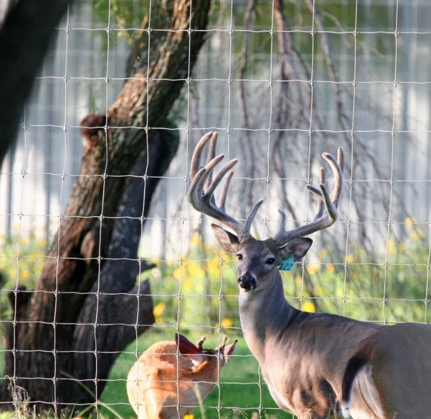construction fence company