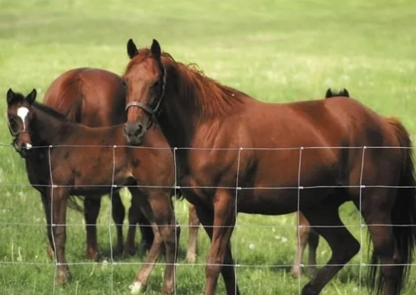 perforated sheet sizes