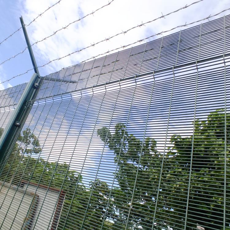 Exploring the Impact of Cargo Networks Connecting Diverse Forest Ecosystems for Sustainable Transport Solutions