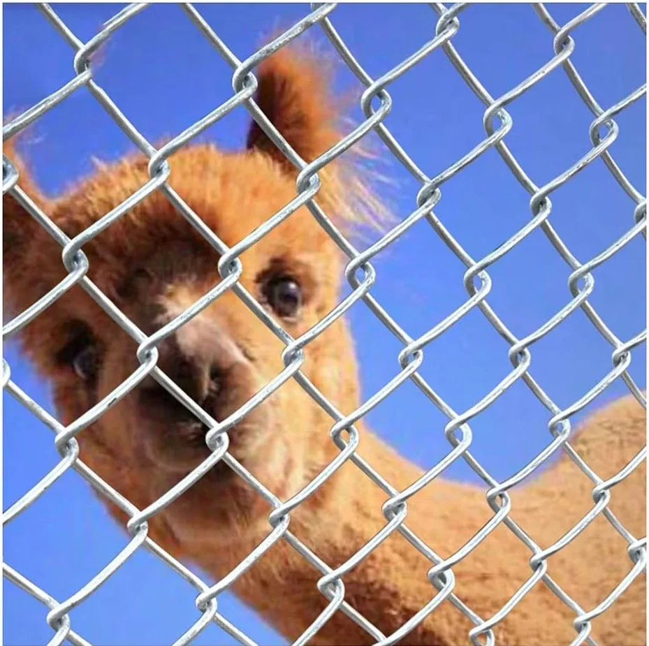 temporary fencing green mesh