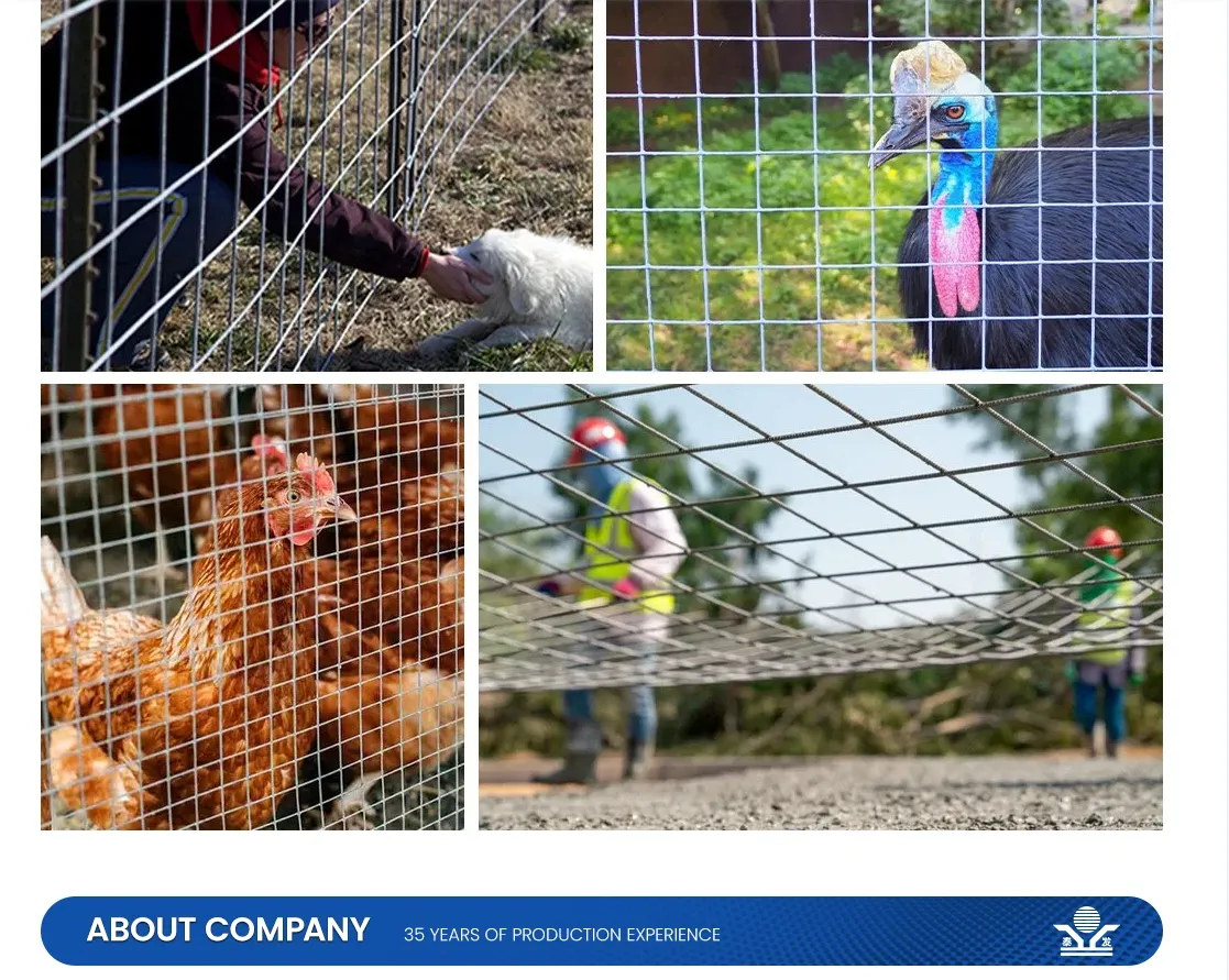 उद्योगिक ध्वनि बाधाहरू ।