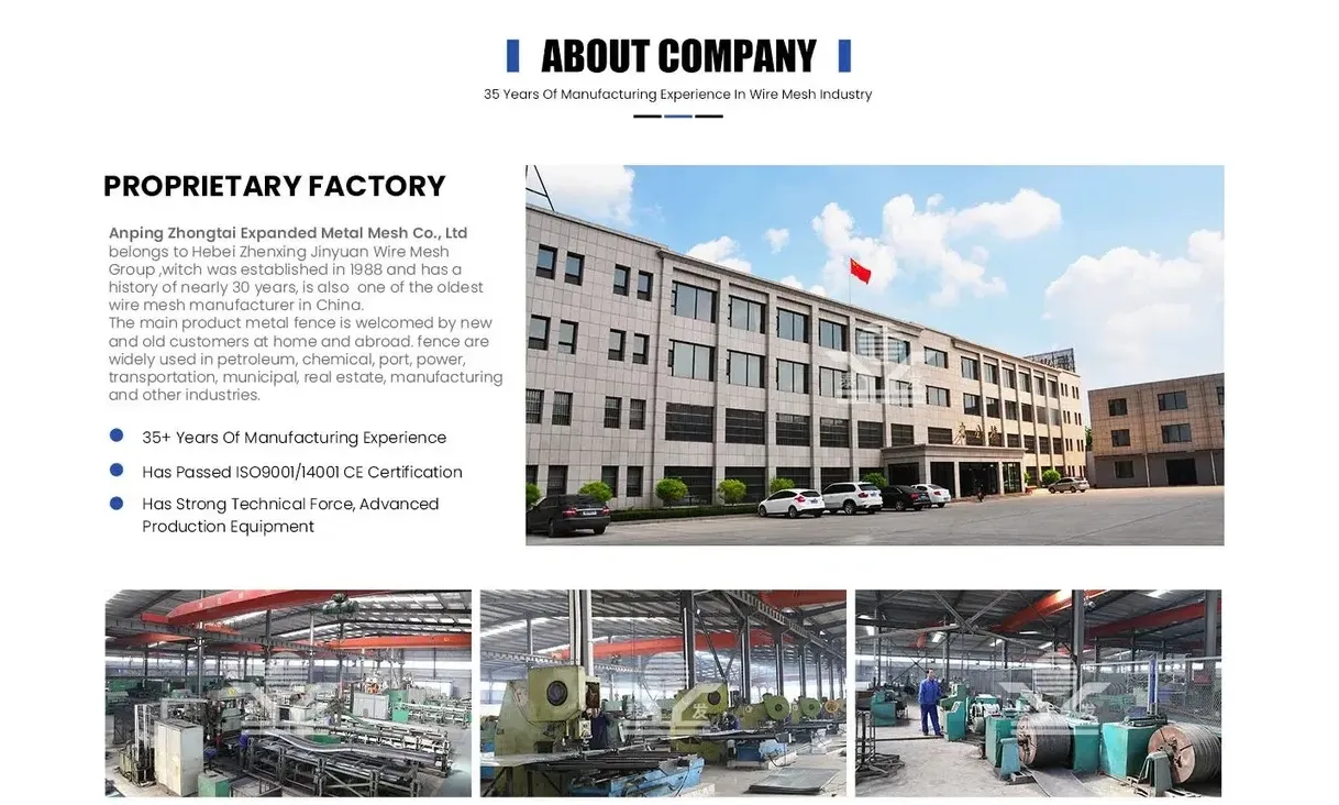 Zhongtai PVC/ Powder Coated Double Edged Steel Iron 3D Welded Wire Mesh Fence