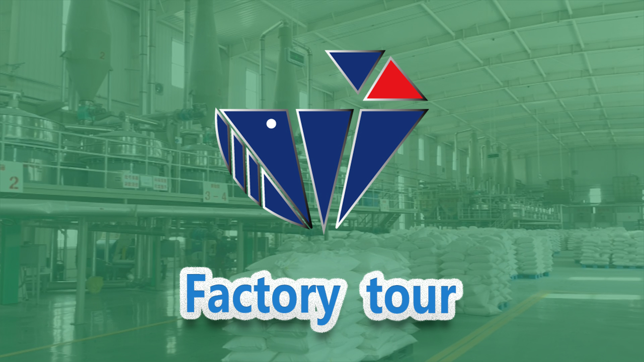 Exploring the Impact of Cell Size on HEC Performance and Efficiency