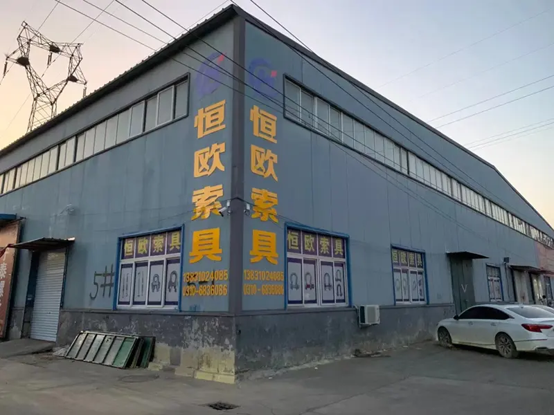 hydroxypropyl methyl cellulose hpmc