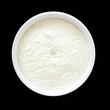 Exploring the Properties and Applications of HPMC Polymer in Modern Industries and Research