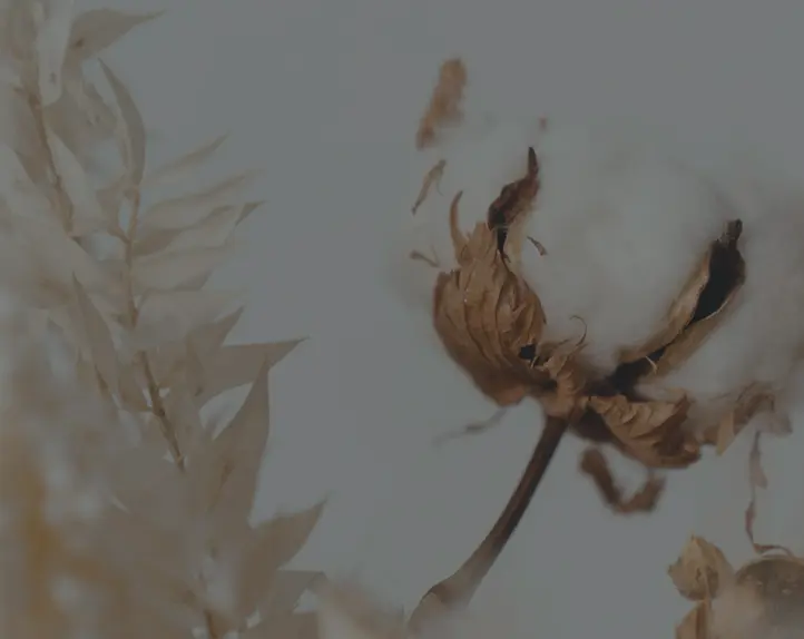 Understanding Hydroxyethyl Cellulose CAS Number and Its Applications in Various Industries