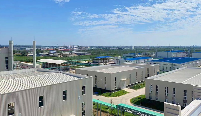 Exploring the Benefits and Uses of HPMC in Various Applications