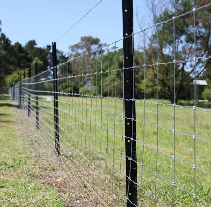 Discover the Versatility of Cattle Panel Fence