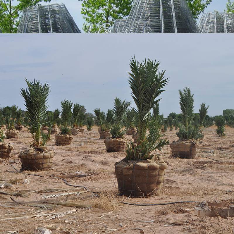 Durable Steel Mesh Netting for Stucco Applications Ensuring Strong Support and Enhanced Stability Durable Steel Mesh Netting for Stucco Applications Ensuring Strong Support and Enhanced Stability