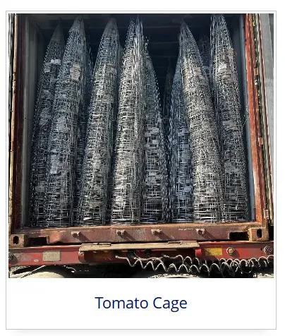 The Ultimate Plant Support Solutions from TCM